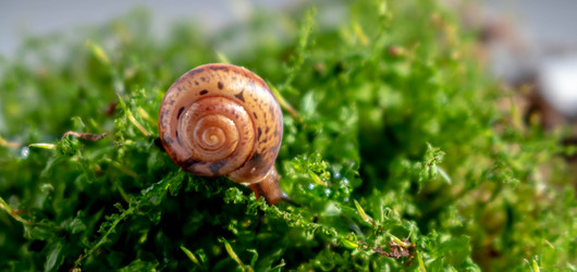 Similar image 20991761