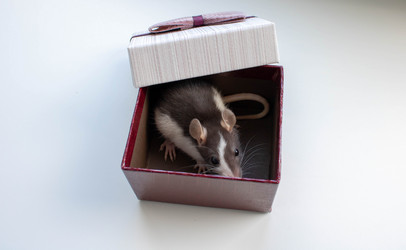 Similar image 20991762