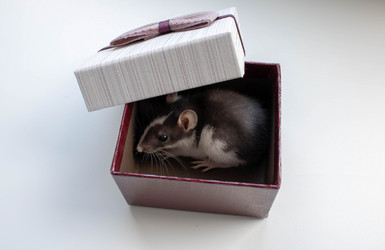 Similar image 20991787