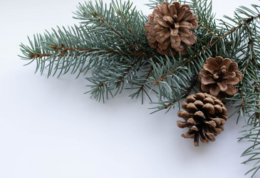 Similar image 20993264