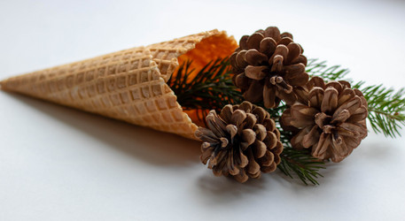 Similar image 20993275