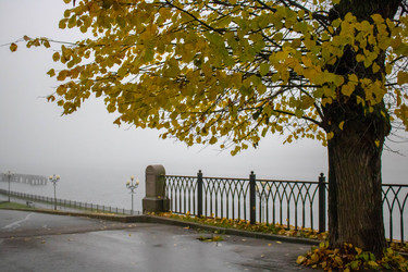 Similar image 20993285