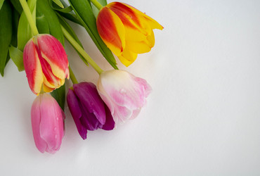 Similar image 20993289