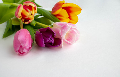 Similar image 20993290