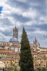 Similar image 20998499