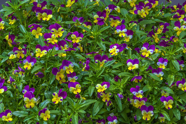 Similar image 20997351