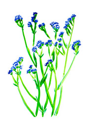 Similar image 20991961