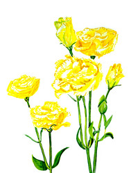 Similar image 20991962