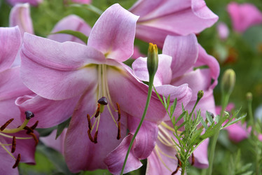 Similar image 20991792