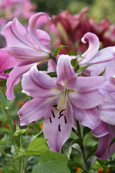 Similar image 20991793