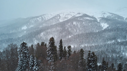 Similar image 21014022