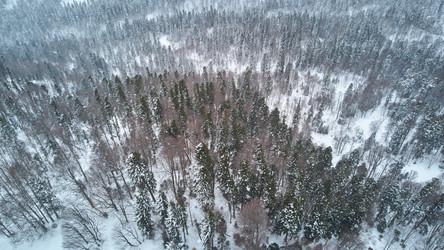 Similar image 21014029