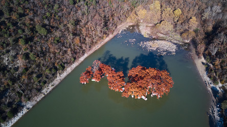 Similar image 21014030