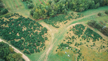 Similar image 21014032