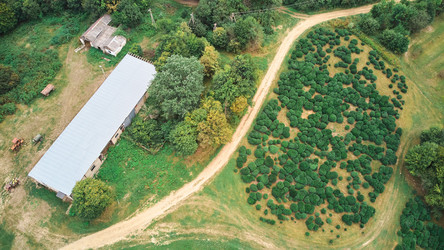 Similar image 20994627