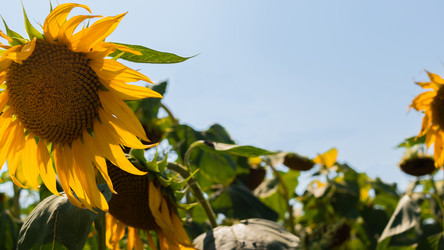 Similar image 20991817