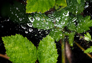 Similar image 20993309