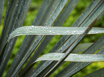 Similar image 20993321