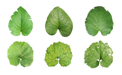 Similar image 20993323