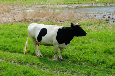 Similar image 21019348