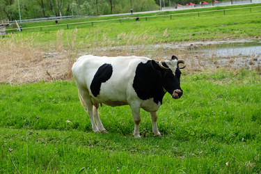 Similar image 21019349