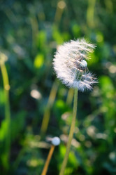 Similar image 21019581