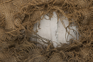 Similar image 21004199