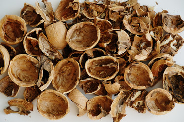 Similar image 21019447