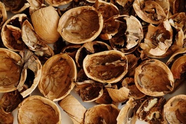 Similar image 21019448