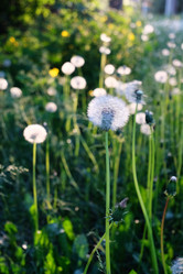 Similar image 20997519