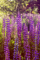 Similar image 20997526