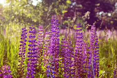 Similar image 20997527