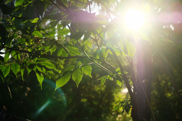 Similar image 21011199