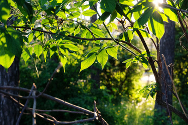 Similar image 21011200