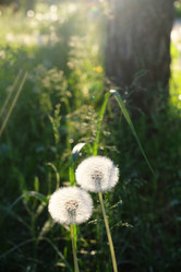 Similar image 21011202