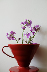 Similar image 21011459