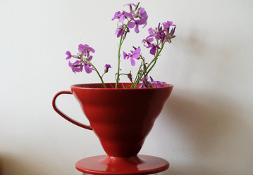 Similar image 21011460