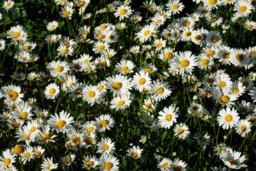 Similar image 21011461