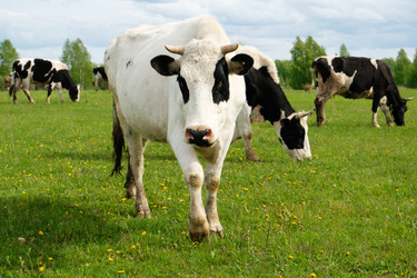 Similar image 21011463