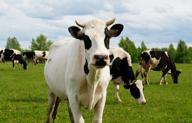 Similar image 21011464