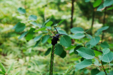 Similar image 21019309