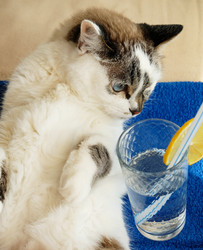 Similar image 21019479