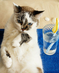 Similar image 21019480