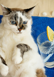 Similar image 21019481