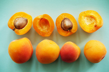 Similar image 21019484