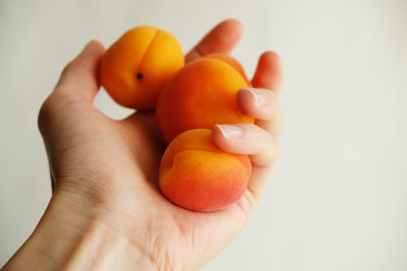 Similar image 21019486