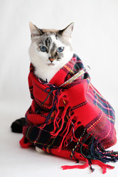 Similar image 21011497