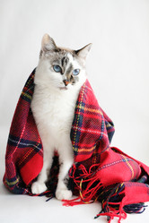 Similar image 21019293