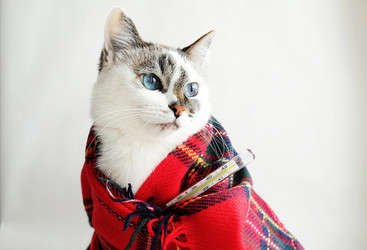 Similar image 21019395