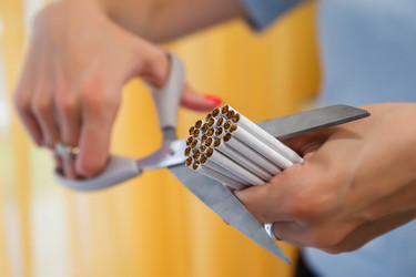 Similar image 20992513